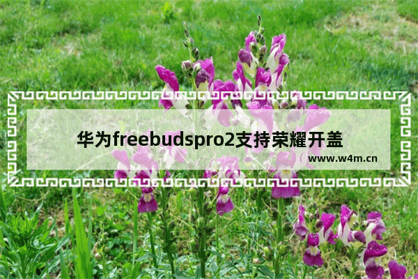 华为freebudspro2支持荣耀开盖即连吗_支持荣耀弹窗吗