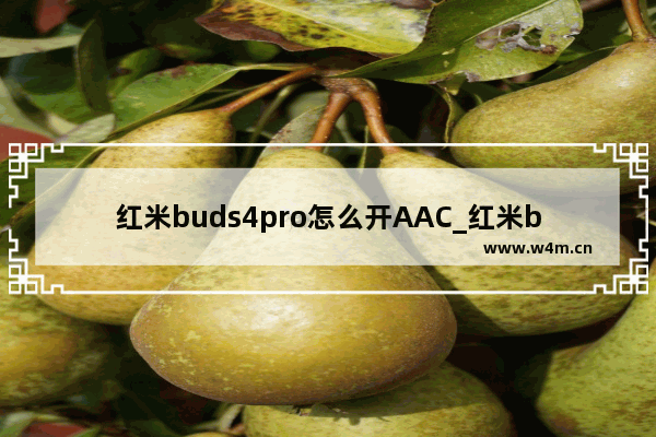 红米buds4pro怎么开AAC_红米buds4pro如何开AAC