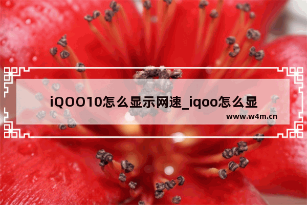 iQOO10怎么显示网速_iqoo怎么显示实时网速