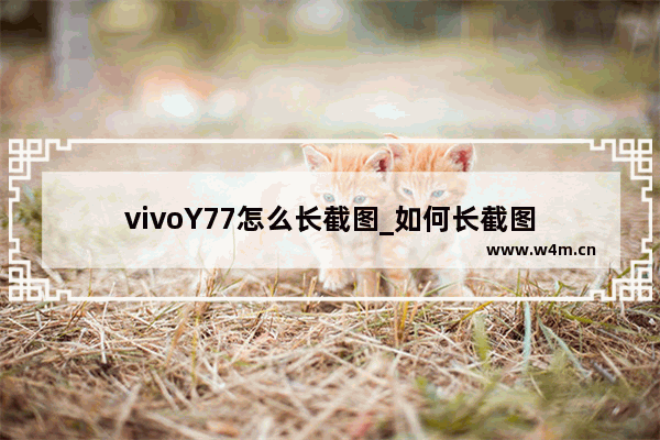 vivoY77怎么长截图_如何长截图