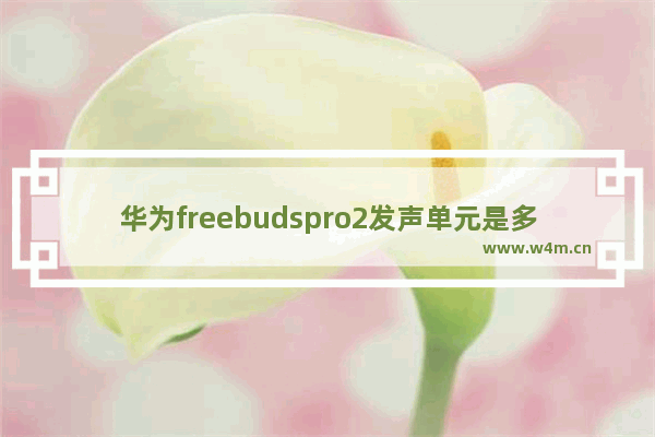 华为freebudspro2发声单元是多少_发声单元