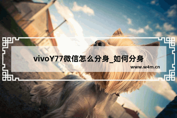 vivoY77微信怎么分身_如何分身