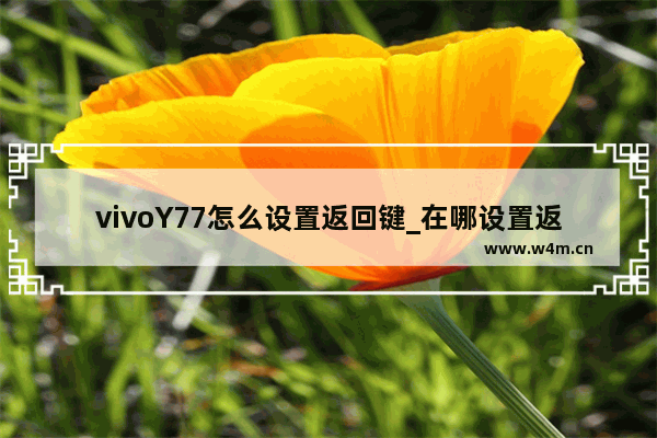 vivoY77怎么设置返回键_在哪设置返回键