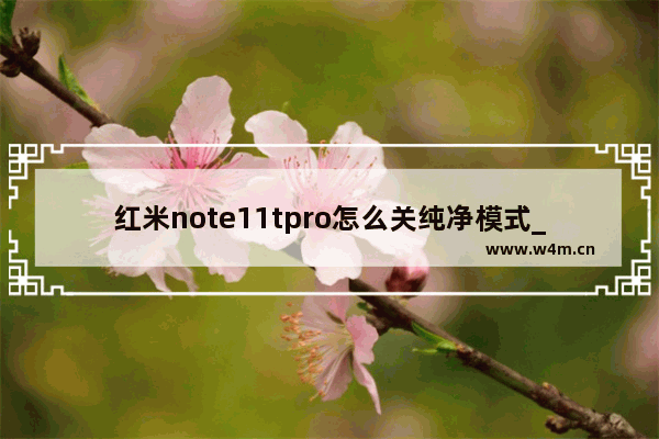 红米note11tpro怎么关纯净模式_如何关纯净模式