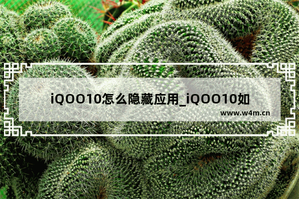 iQOO10怎么隐藏应用_iQOO10如何隐藏软件