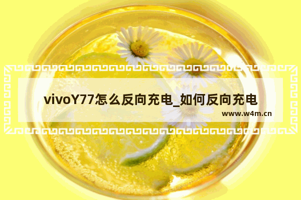 vivoY77怎么反向充电_如何反向充电