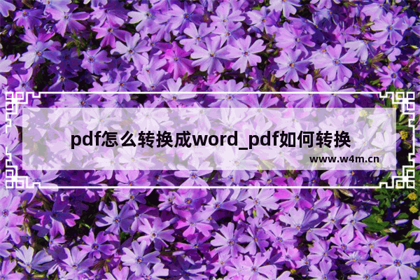 pdf怎么转换成word_pdf如何转换成word