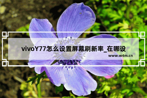 vivoY77怎么设置屏幕刷新率_在哪设置屏幕刷新率