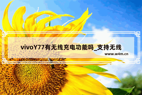 vivoY77有无线充电功能吗_支持无线充电功能吗