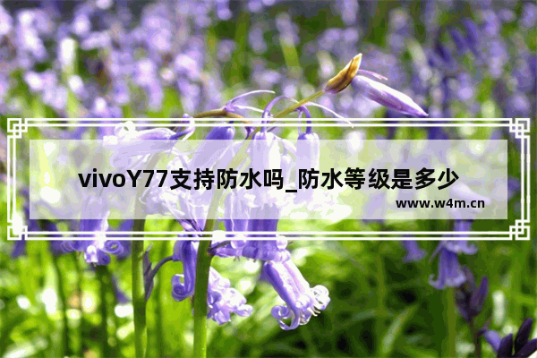 vivoY77支持防水吗_防水等级是多少