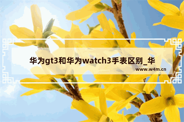 华为gt3和华为watch3手表区别_华为GT3和华为watch3的区别