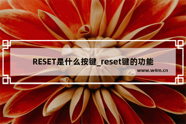 RESET是什么按键_reset键的功能是什么意思