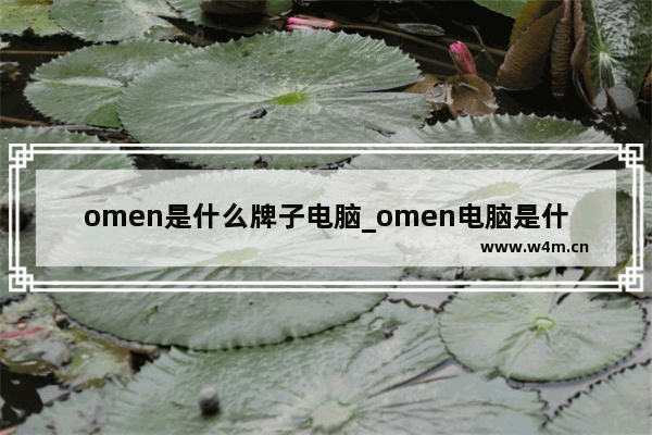 omen是什么牌子电脑_omen电脑是什么牌子