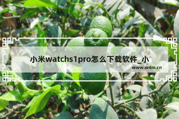 小米watchs1pro怎么下载软件_小米watchs1pro如何下载app