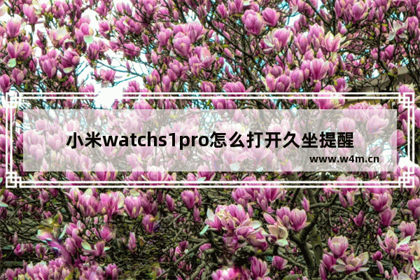 小米watchs1pro怎么打开久坐提醒_小米watchs1pro久坐提醒如何打开