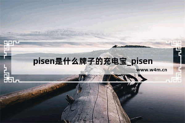 pisen是什么牌子的充电宝_pisen是什么充电宝