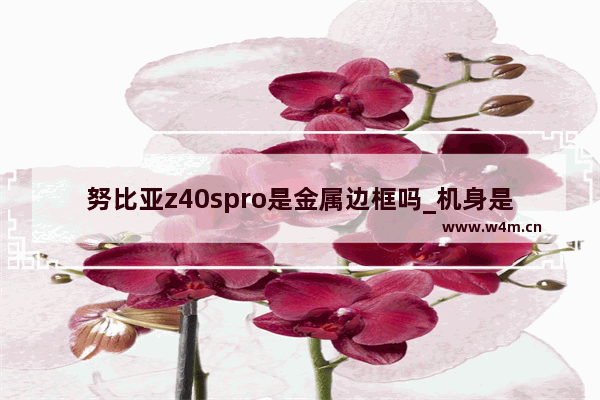 努比亚z40spro是金属边框吗_机身是金属的吗