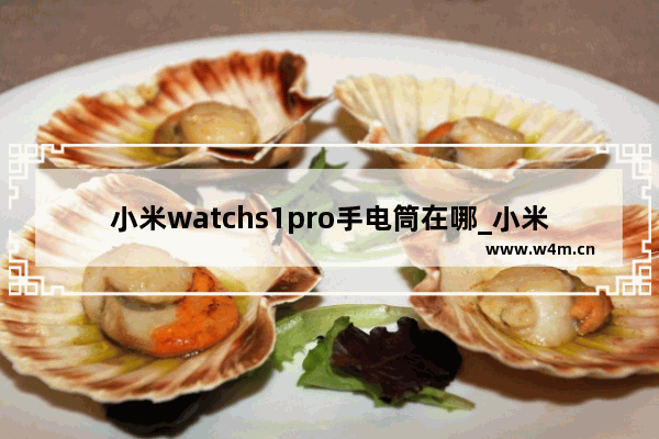 小米watchs1pro手电筒在哪_小米watchs1pro怎么打开手电筒