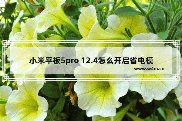 小米平板5pro 12.4怎么开启省电模式_如何开启省电模式