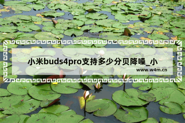 小米buds4pro支持多少分贝降噪_小米buds4pro降噪分贝是多少