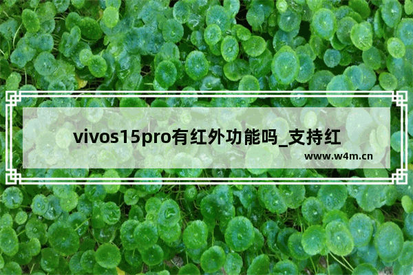 vivos15pro有红外功能吗_支持红外遥控吗