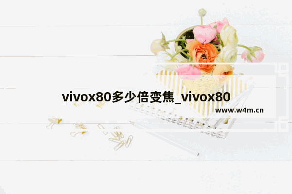 vivox80多少倍变焦_vivox80变焦倍数