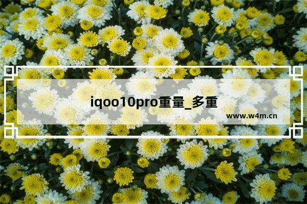 iqoo10pro重量_多重