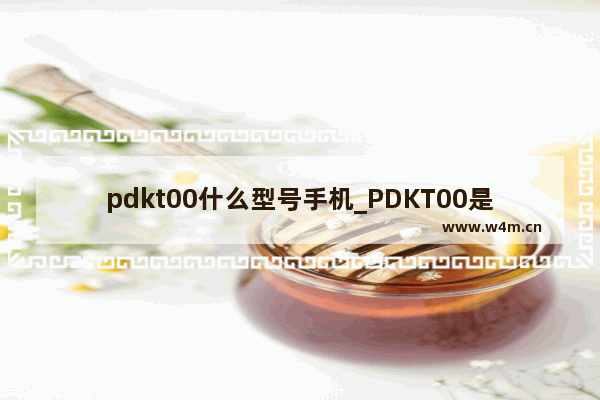 pdkt00什么型号手机_PDKT00是oppo什么型号