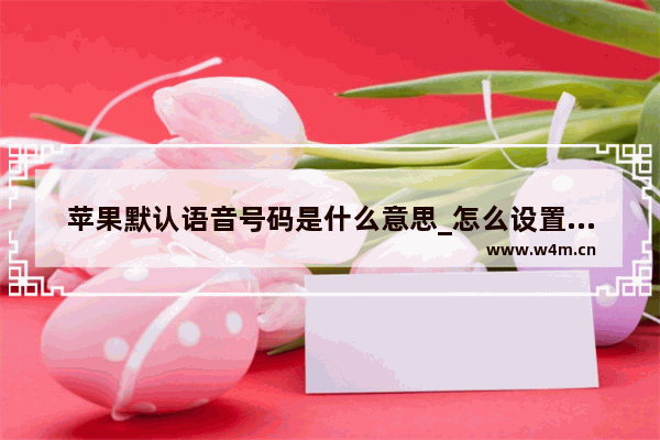 苹果默认语音号码是什么意思_怎么设置默认语音号码