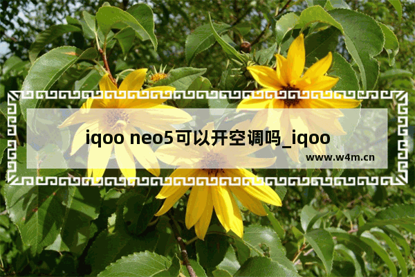 iqoo neo5可以开空调吗_iqoo neo5可以遥控空调吗