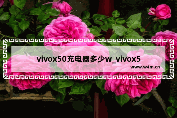 vivox50充电器多少w_vivox50支持多少w充电