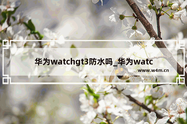 华为watchgt3防水吗_华为watchgt3防水等级