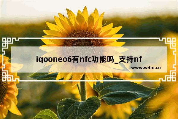 iqooneo6有nfc功能吗_支持nfc功能吗