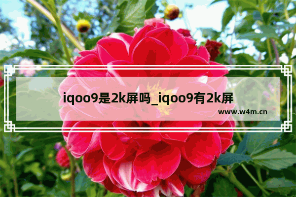 iqoo9是2k屏吗_iqoo9有2k屏幕吗