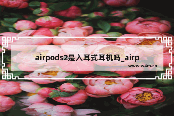 airpods2是入耳式耳机吗_airpods二代是入耳式吗