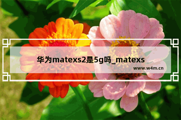 华为matexs2是5g吗_matexs2支持5g吗