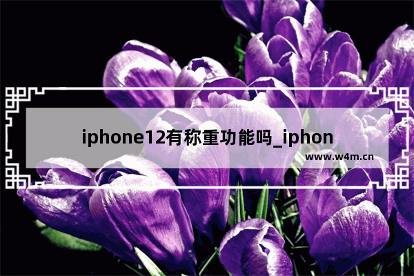 iphone12有称重功能吗_iphone12支持称重功能吗