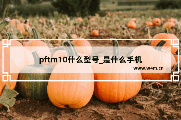 pftm10什么型号_是什么手机