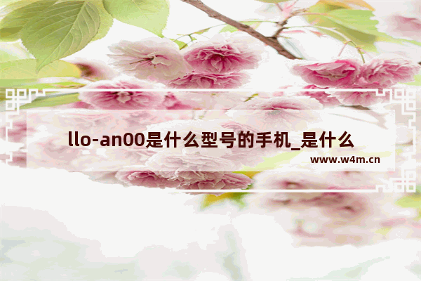 llo-an00是什么型号的手机_是什么手机型号