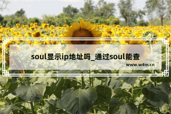 soul显示ip地址吗_通过soul能查到Ip地址吗