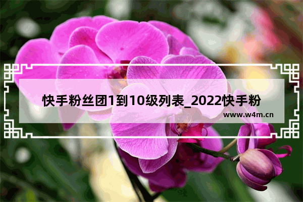 快手粉丝团1到10级列表_2022快手粉丝团1到10级列表