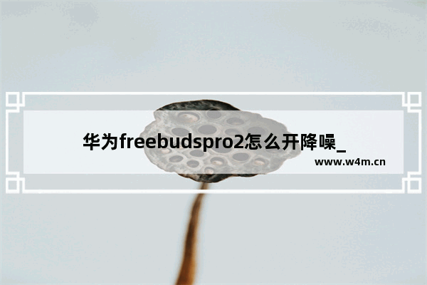 华为freebudspro2怎么开降噪_怎么使用降噪功能