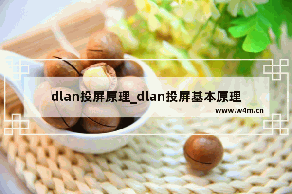 dlan投屏原理_dlan投屏基本原理