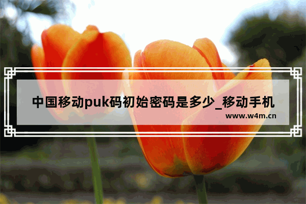 中国移动puk码初始密码是多少_移动手机号码puk初始密码是多少