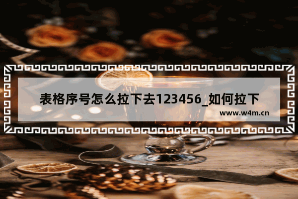 表格序号怎么拉下去123456_如何拉下去123456