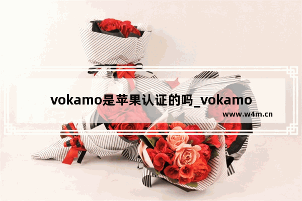 vokamo是苹果认证的吗_vokamo手机壳是苹果认证的吗