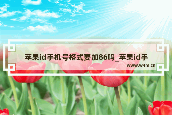 苹果id手机号格式要加86吗_苹果id手机号需要输入+86吗