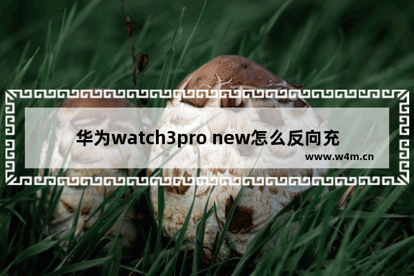 华为watch3pro new怎么反向充电_华为watch3pro new如何反向充电