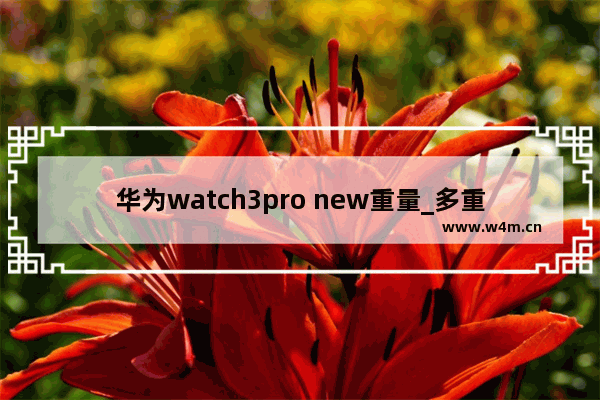 华为watch3pro new重量_多重