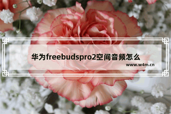 华为freebudspro2空间音频怎么开_空间音频在哪开启